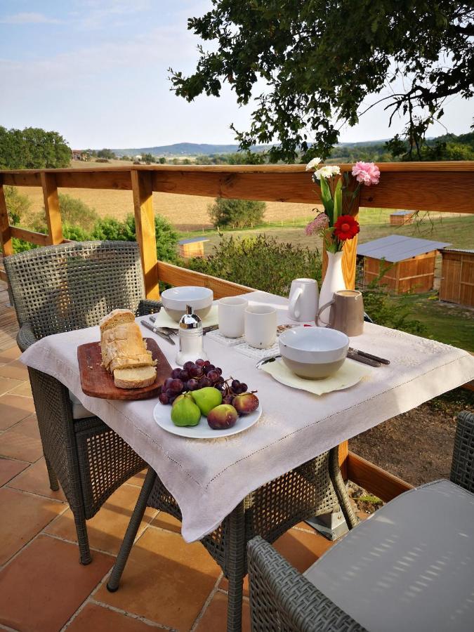 Castel Mazars Bed & Breakfast Castelnau-de-Montmiral Ngoại thất bức ảnh